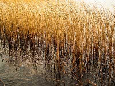 Drainage System Installation