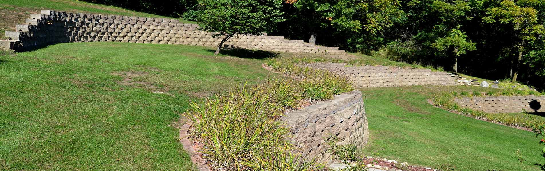 Professional Sod Installation